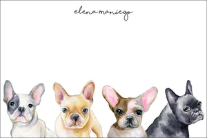 Curious French Bulldogs all occasion gift tag