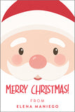 Cheeky Santa Christmas Holiday Gift Tag