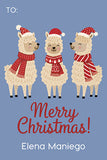 Cheery Alpaca Christmas Holiday Gift Tag