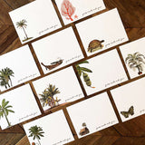 El Nido Paraiso Exclusive Note Card Set