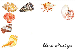 Seashell Themed all occasion gift tag