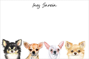 Curious Chihuahuas all occasion gift tag