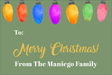 Those Colorful Lights Christmas Gift Tag
