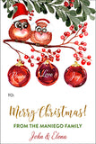 Joyous Peaceful Owls Christmas Gift Tag